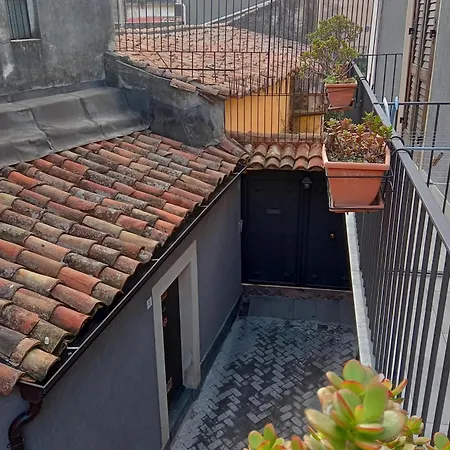 Narciso Boutique Bed & Breakfast *
